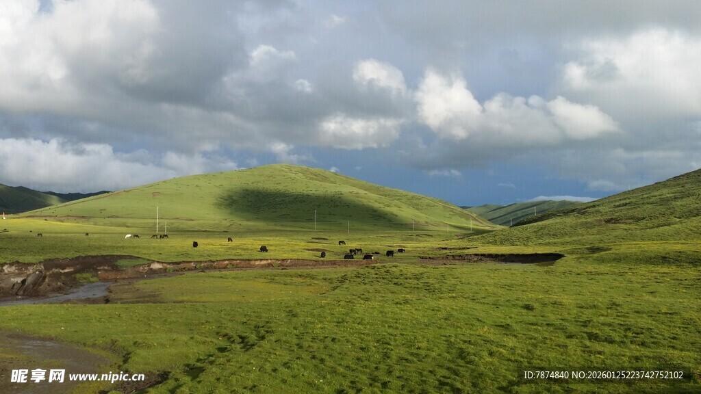 广袤绿野 云下自然风光