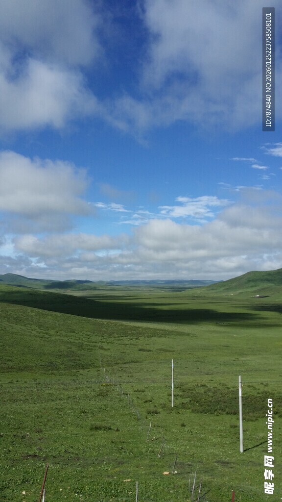 广袤草原风光