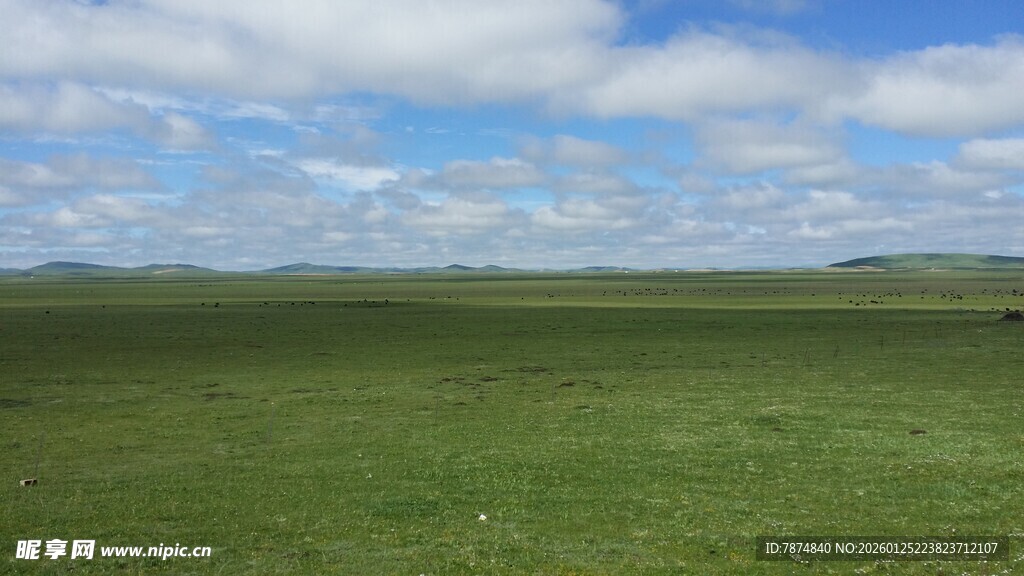广袤草原 蓝天白云美景
