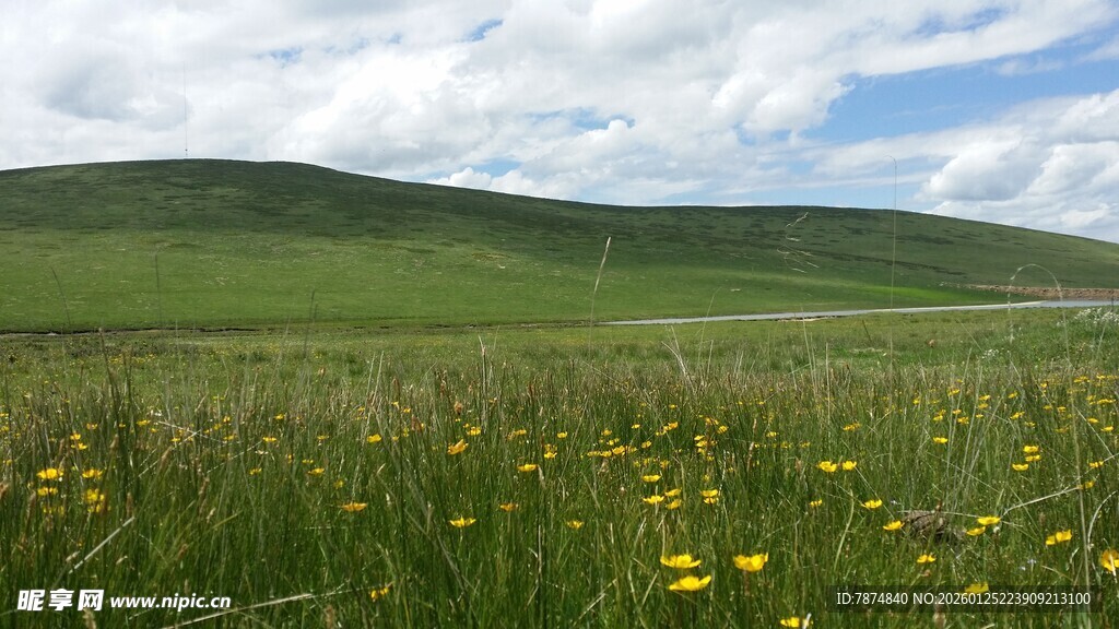 草原花海美景