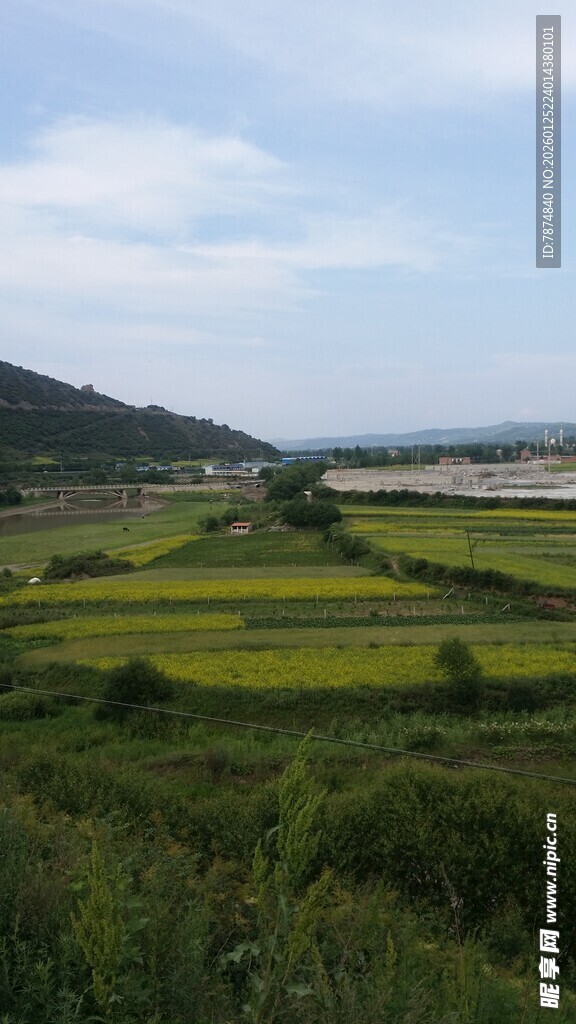 田园风光 广袤绿野美景