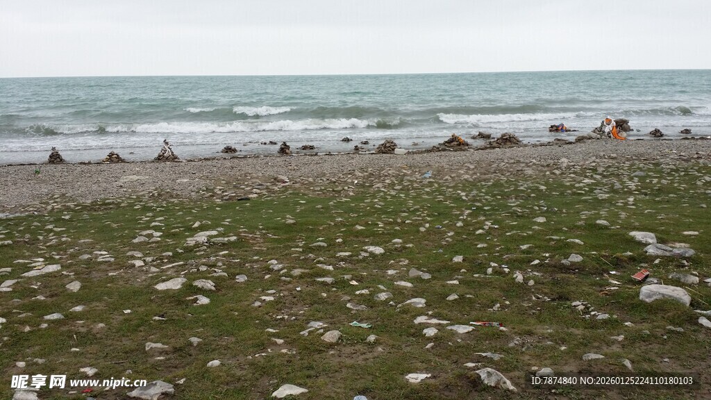 海边滩涂 群鸟栖息场景