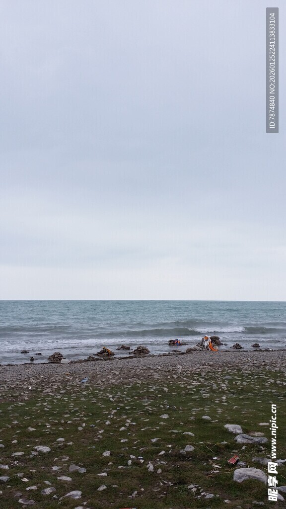 海边草地的悠闲景象