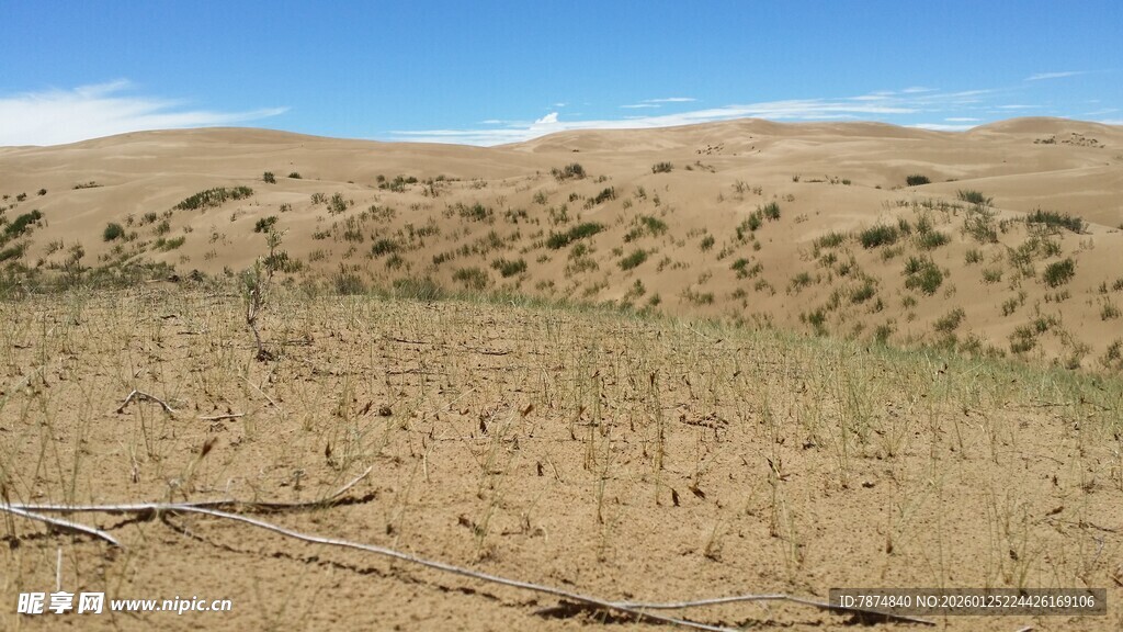 广袤荒凉的干旱土地景观