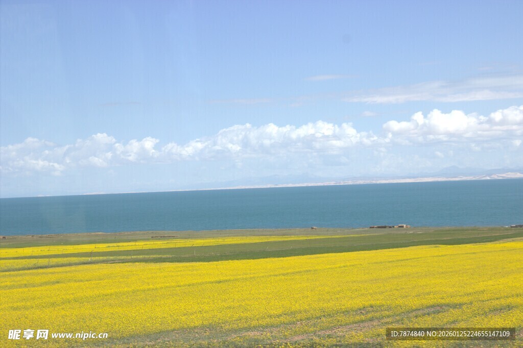 金黄花海与碧海蓝天