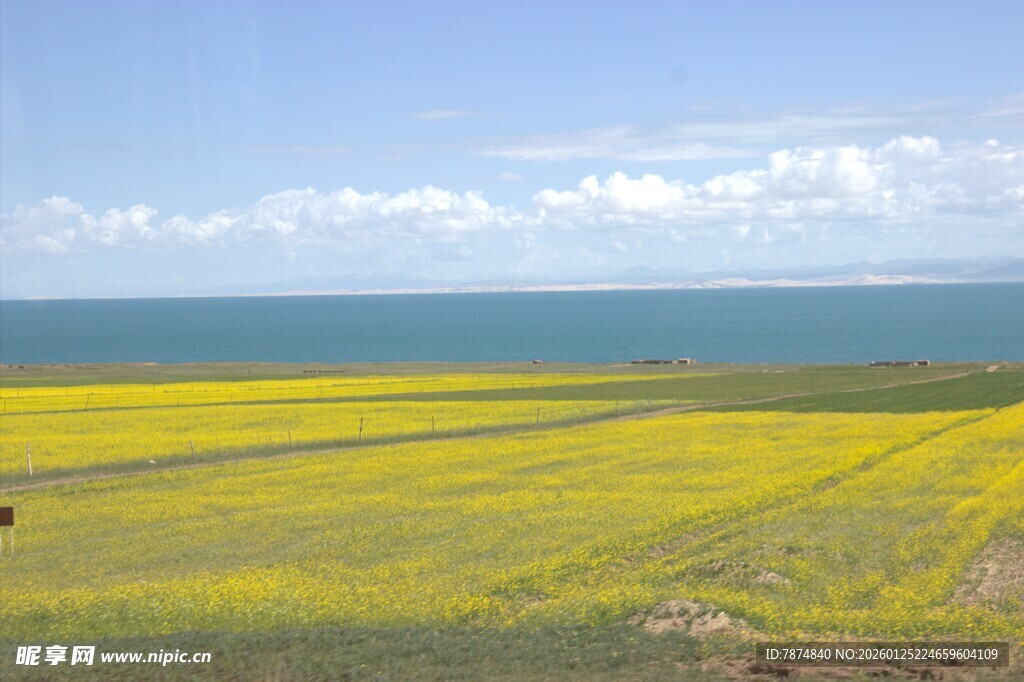 草原花海 蓝天碧海相衬