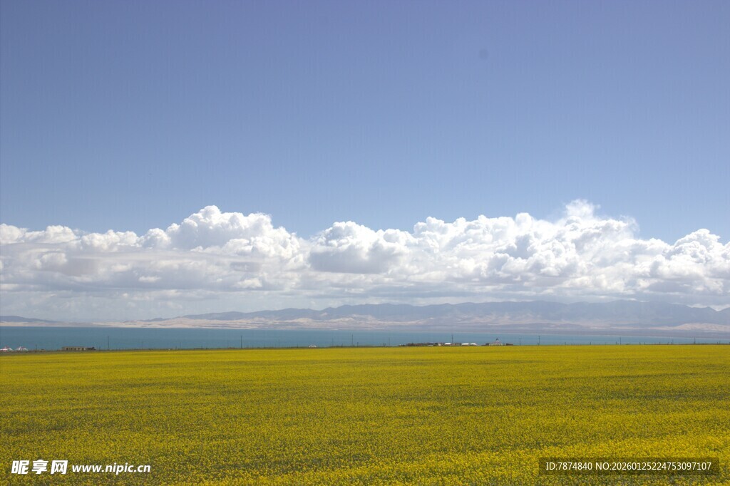 广袤田野上的蓝天白云