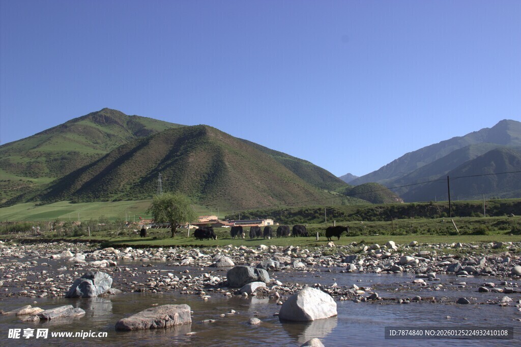 山间溪流旁的壮丽自然景观
