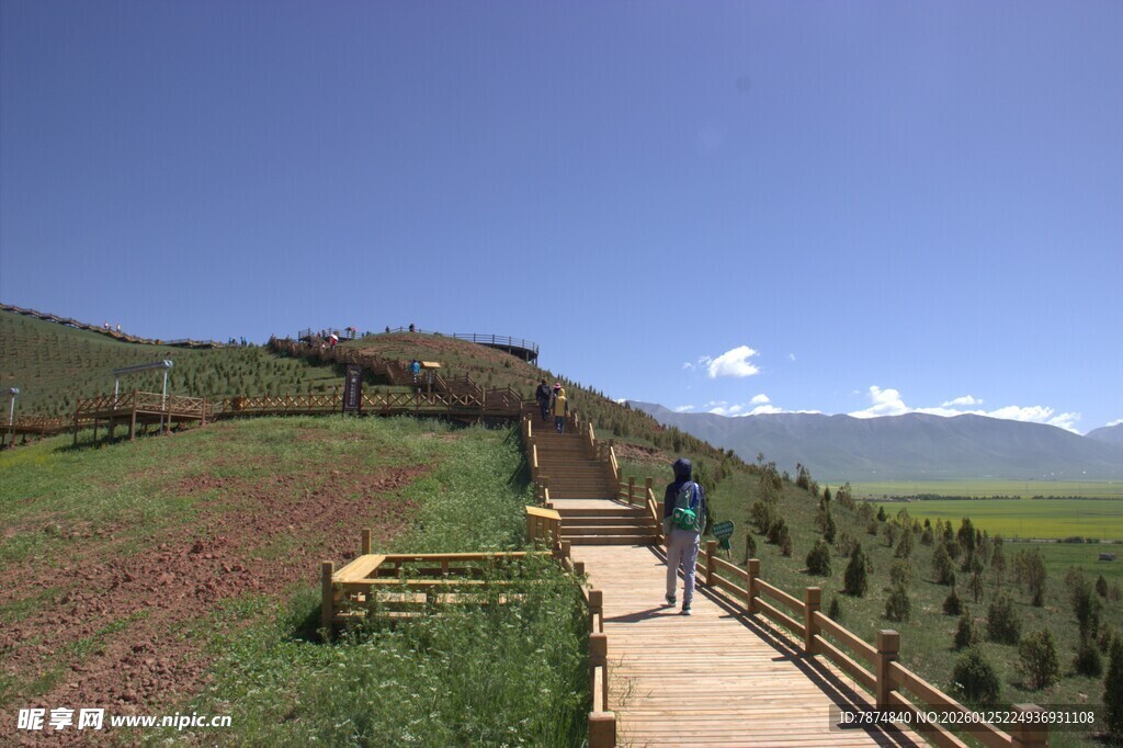 山间步道上的悠然漫步