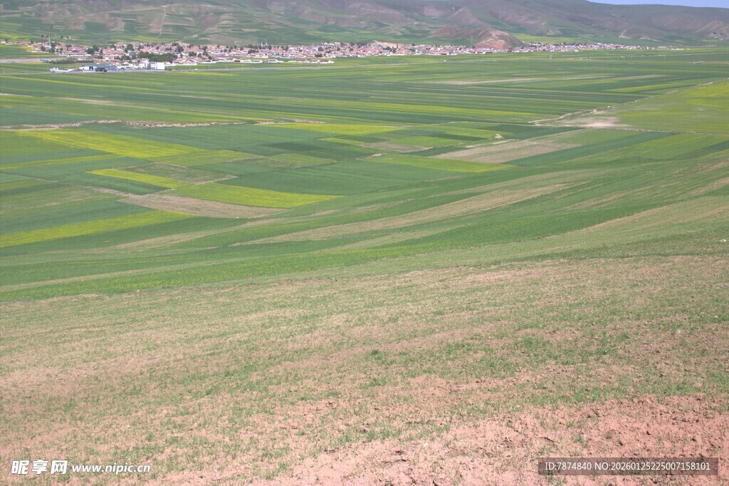 田园风光中的多彩农田