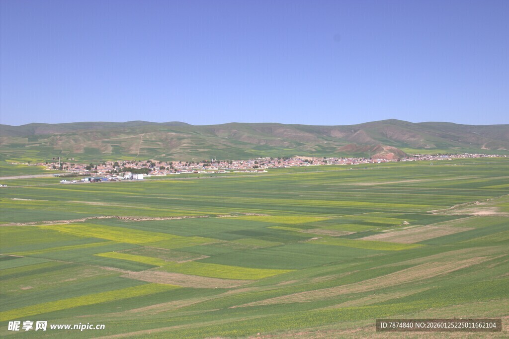 田园风光 多彩田野景色
