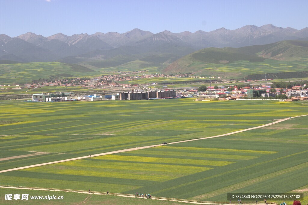 田园风光 广袤农田景色
