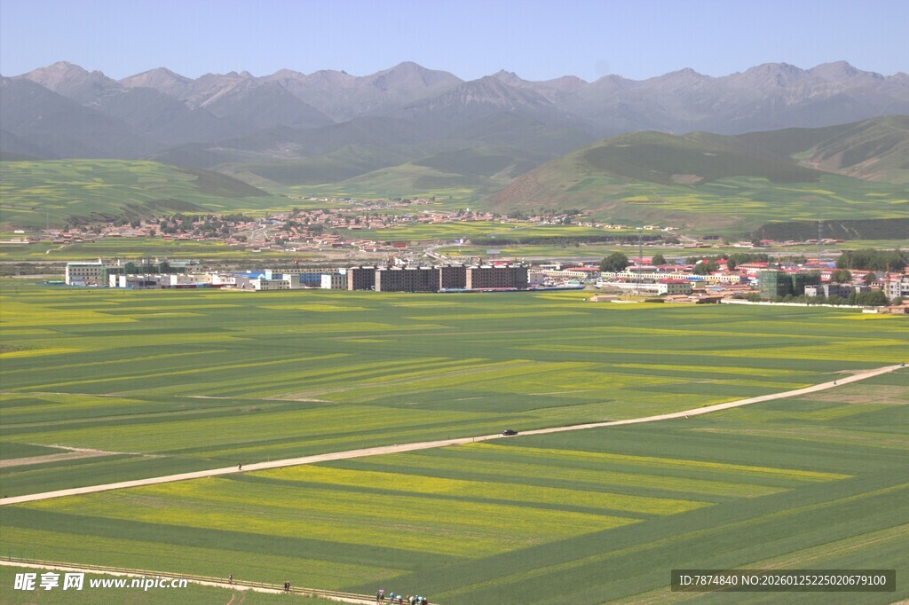 田园风光 广袤田野与远山