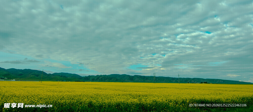 广袤田野上的多云天空