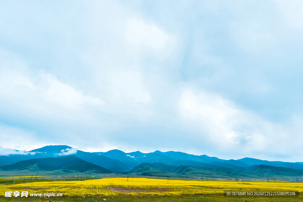 草原花海与远山美景