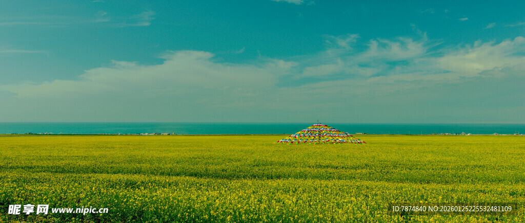 广袤绿野 天际孤景