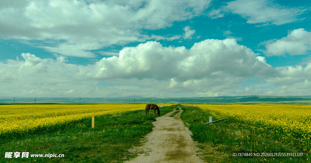 田园小路 漫步于黄绿田野间