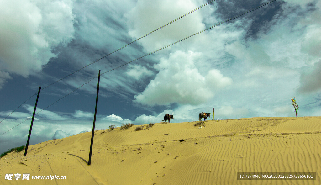 沙漠中矗立的黑色电线杆