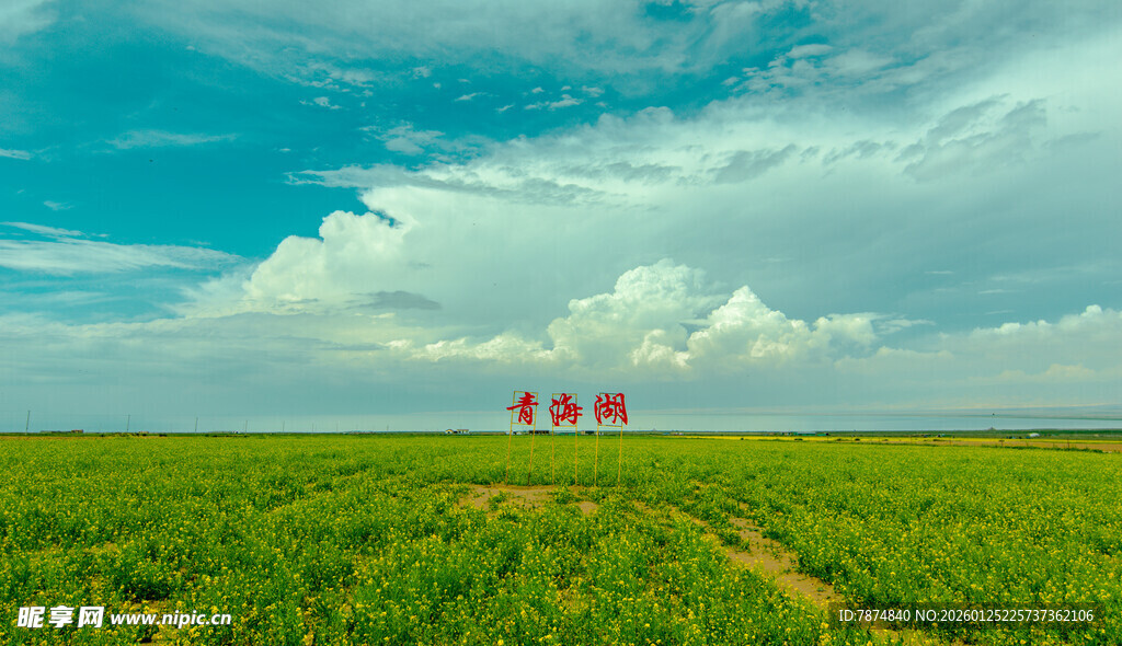 绿野中红伞点缀的田园景
