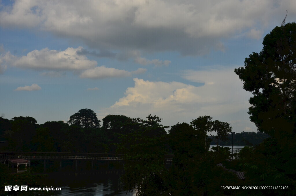 湖畔树林间的天空景致