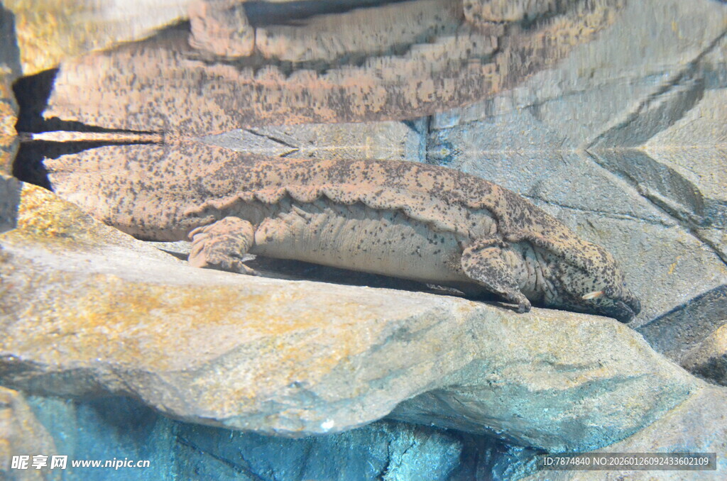 抽象纹理岩石景观