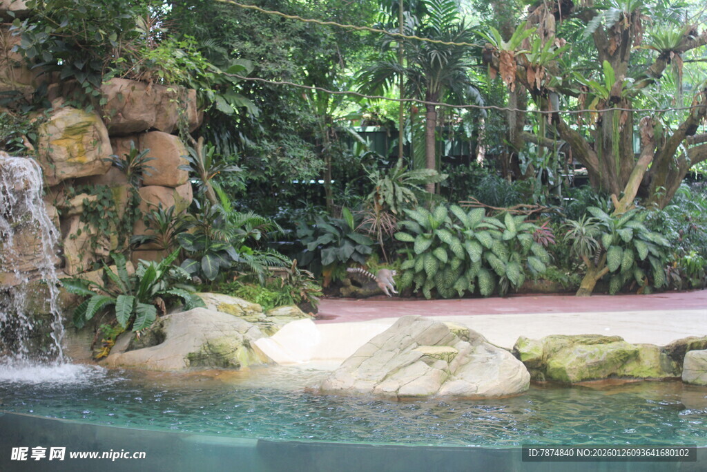 热带风情泳池景观