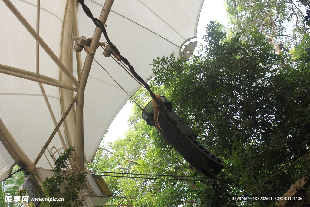 户外悬挂结构下的绿植景观