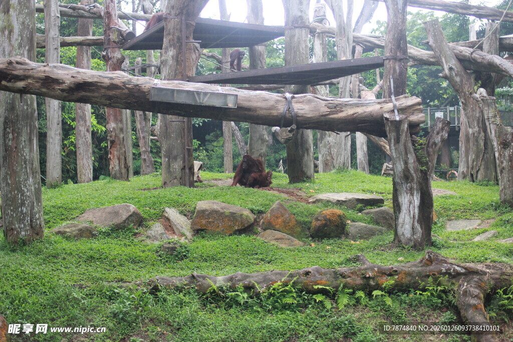 林间木质景观 自然野趣