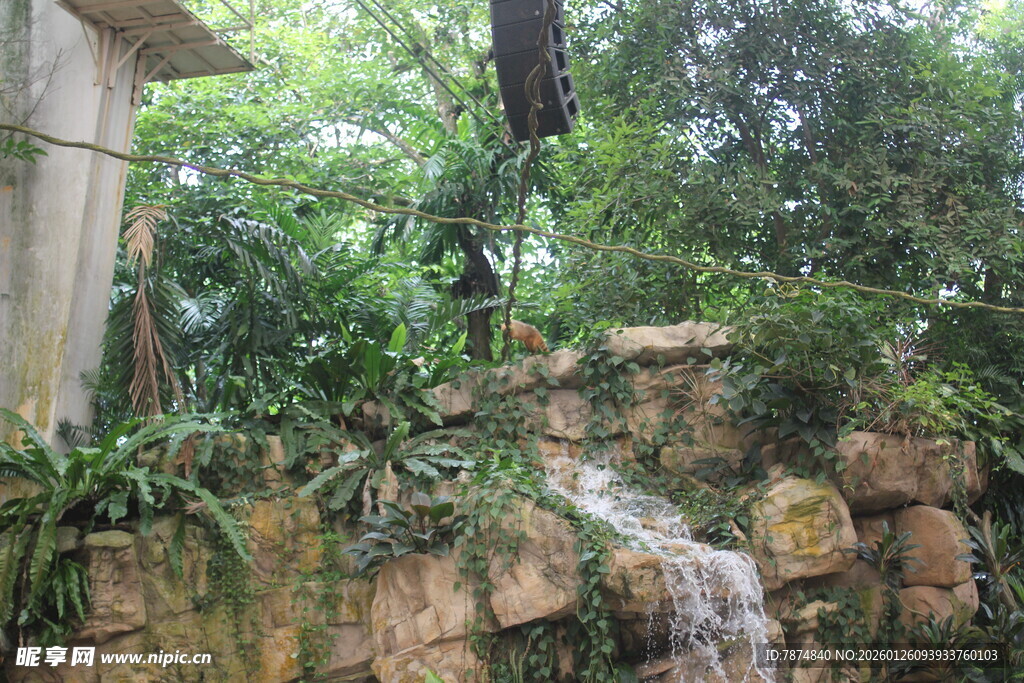 庭院中的迷你瀑布景观