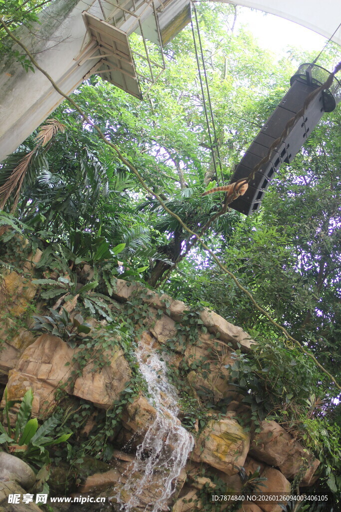 室内绿植瀑布景观