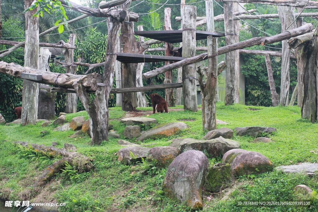户外木质游乐设施景观