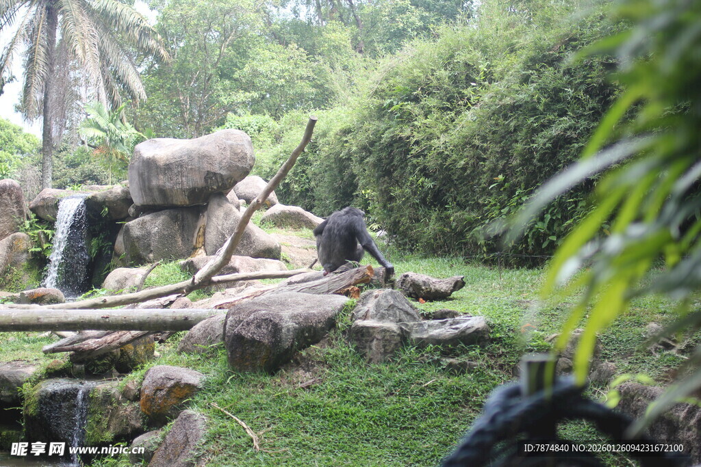 园林假山景观 自然野趣