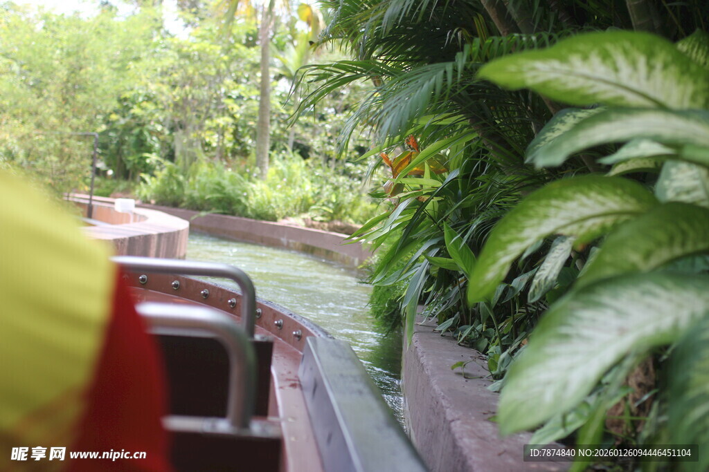 丛林中的木质观景台