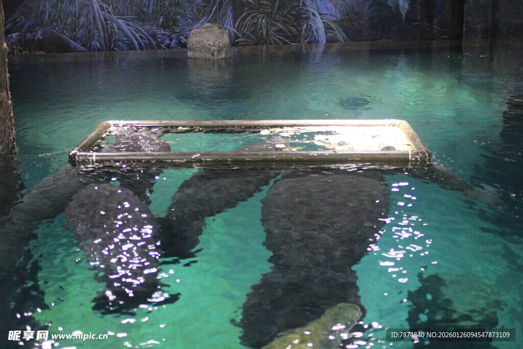 水下神秘残骸景象