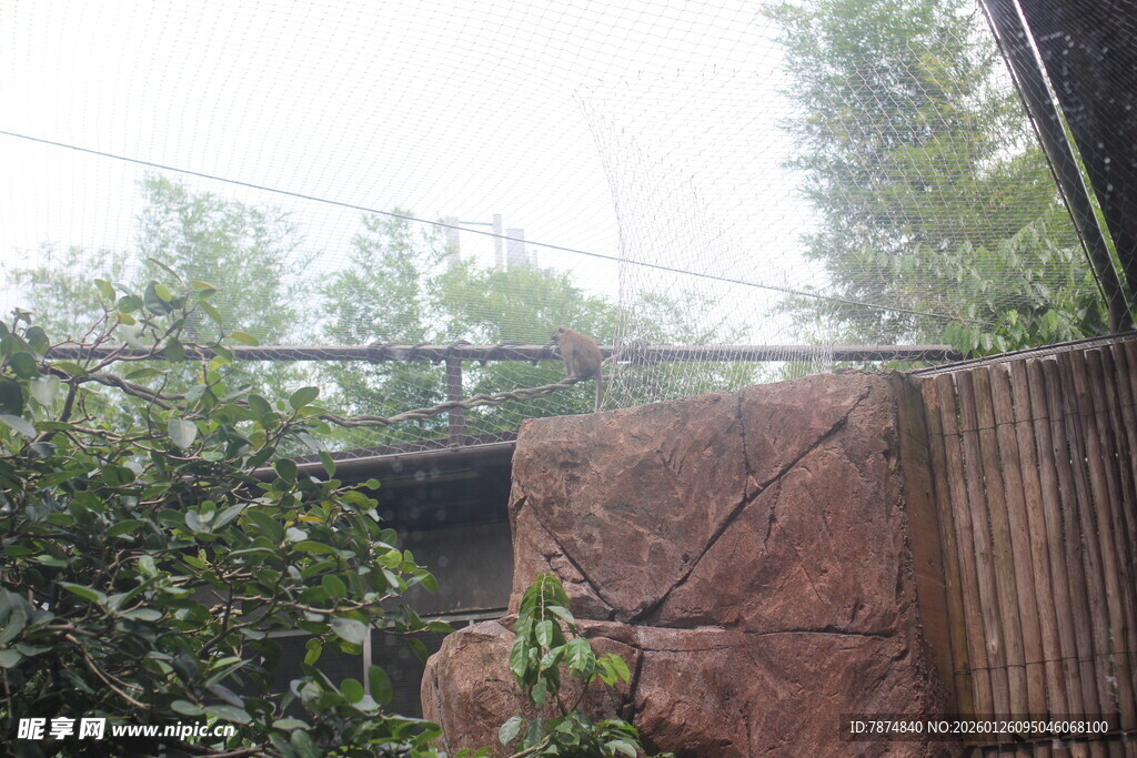 动物园内的岩石与绿植景观