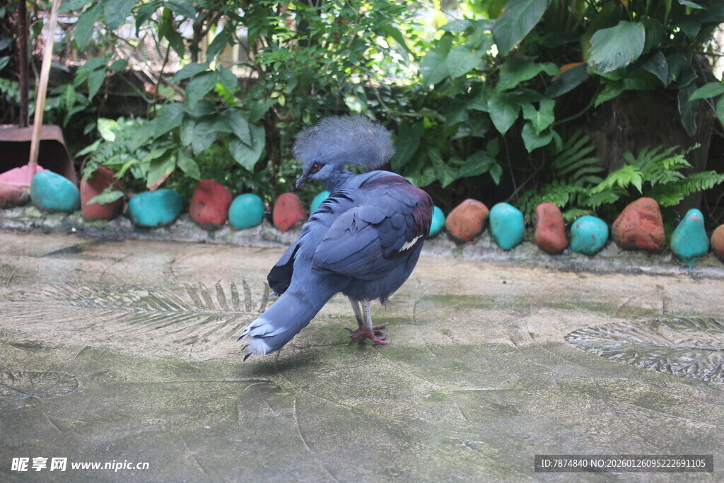 雨中孩童撑伞玩耍瞬间