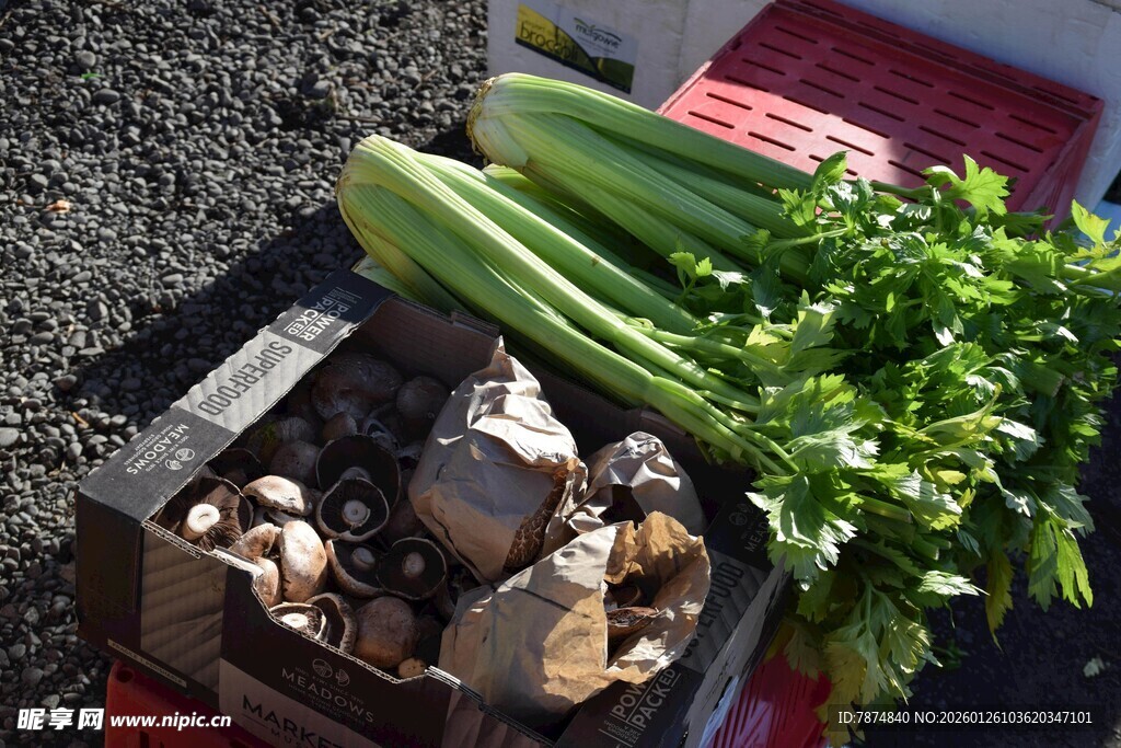 新鲜蔬菜与食材摆放