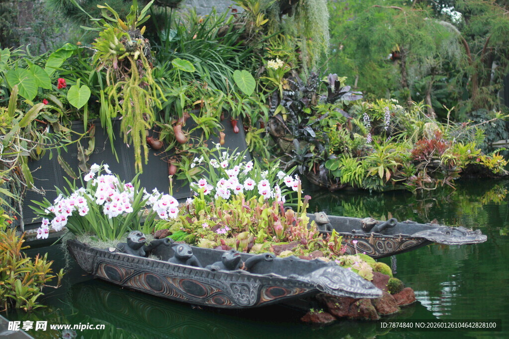 船形花盆中的多彩植物景观