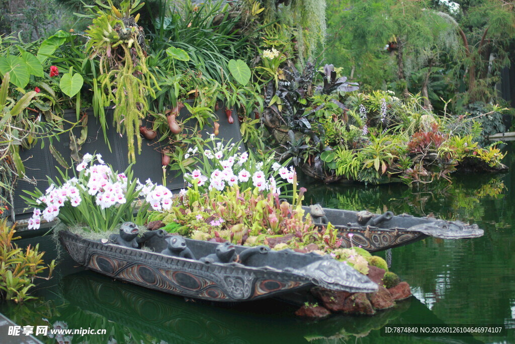 水上绿植景观 自然之美