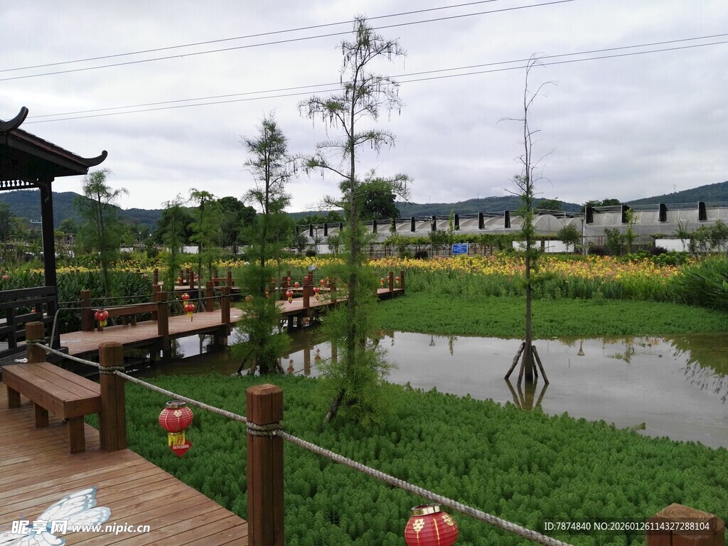 乡村田园景观 宁静好去处