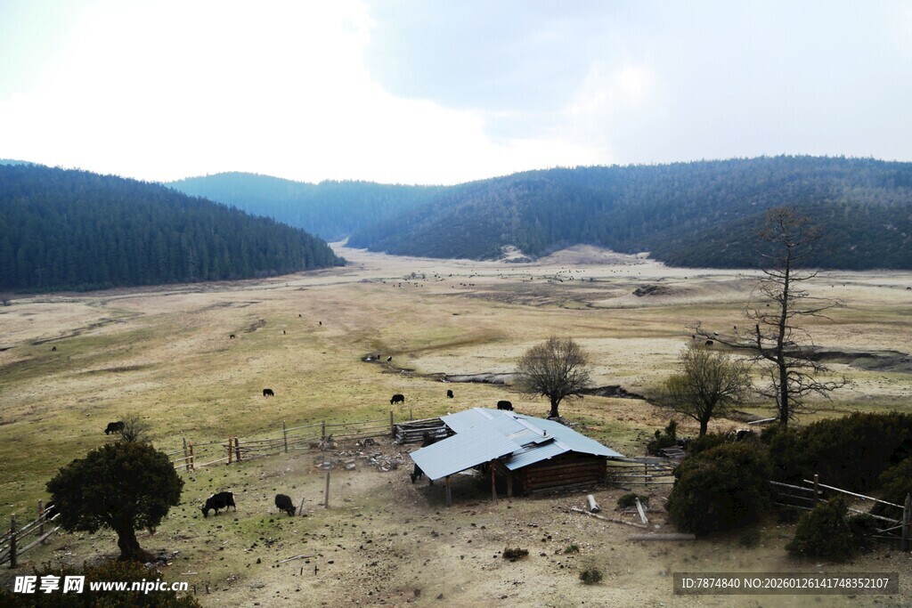 普达措森林公园