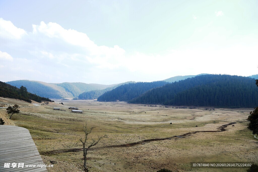 普达措森林公园