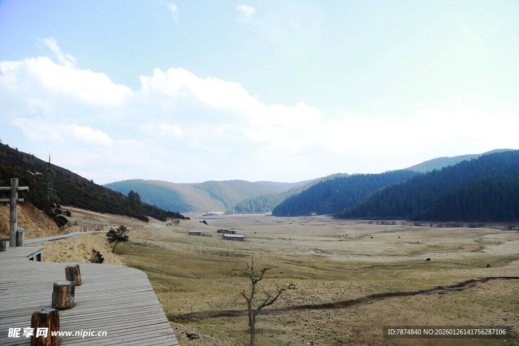 普达措森林公园