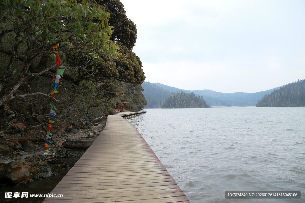 普达措森林公园