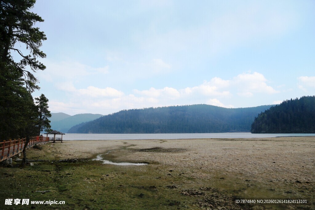 普达措森林公园