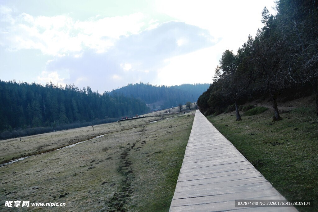 普达措森林公园