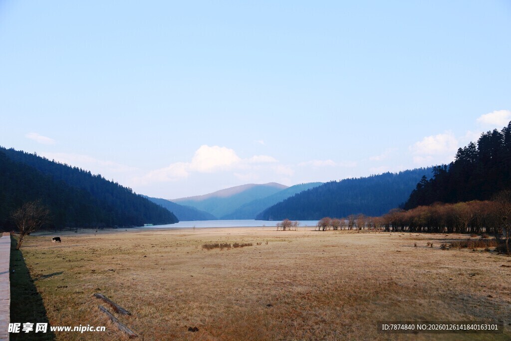普达措森林公园
