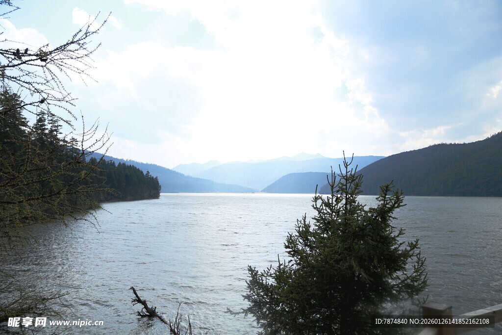 普达措森林公园