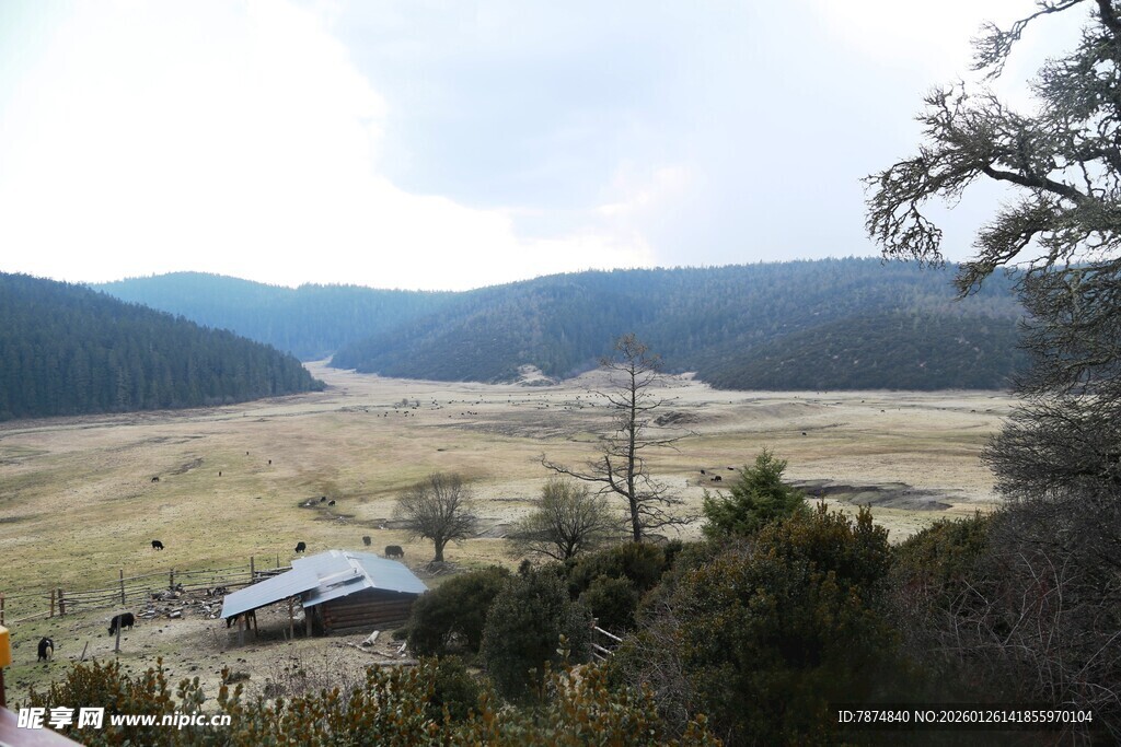 普达措森林公园