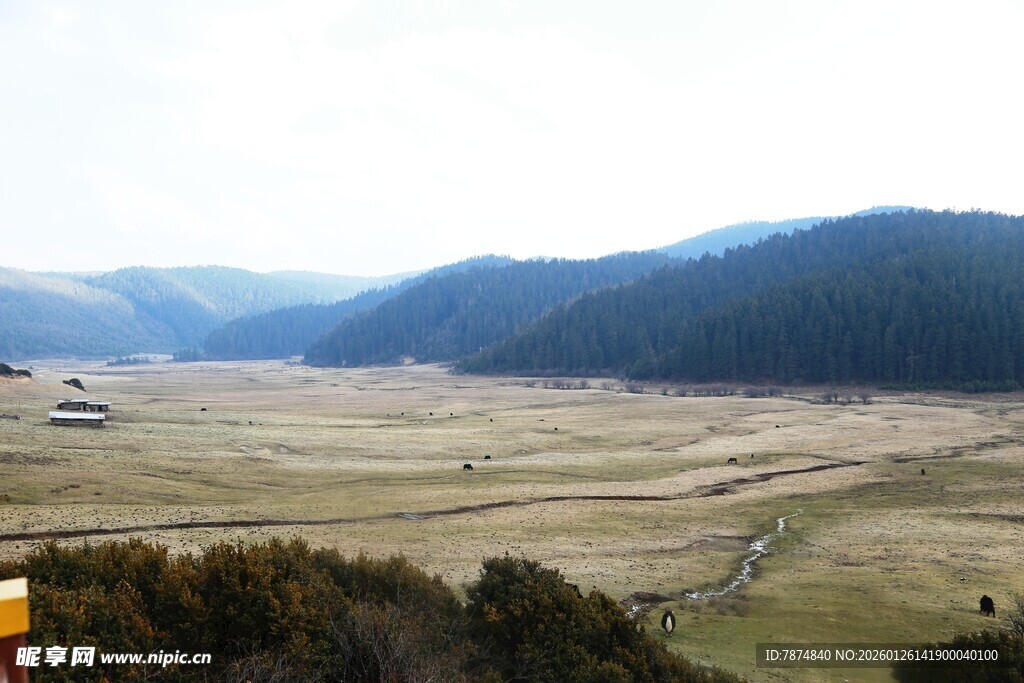 普达措森林公园